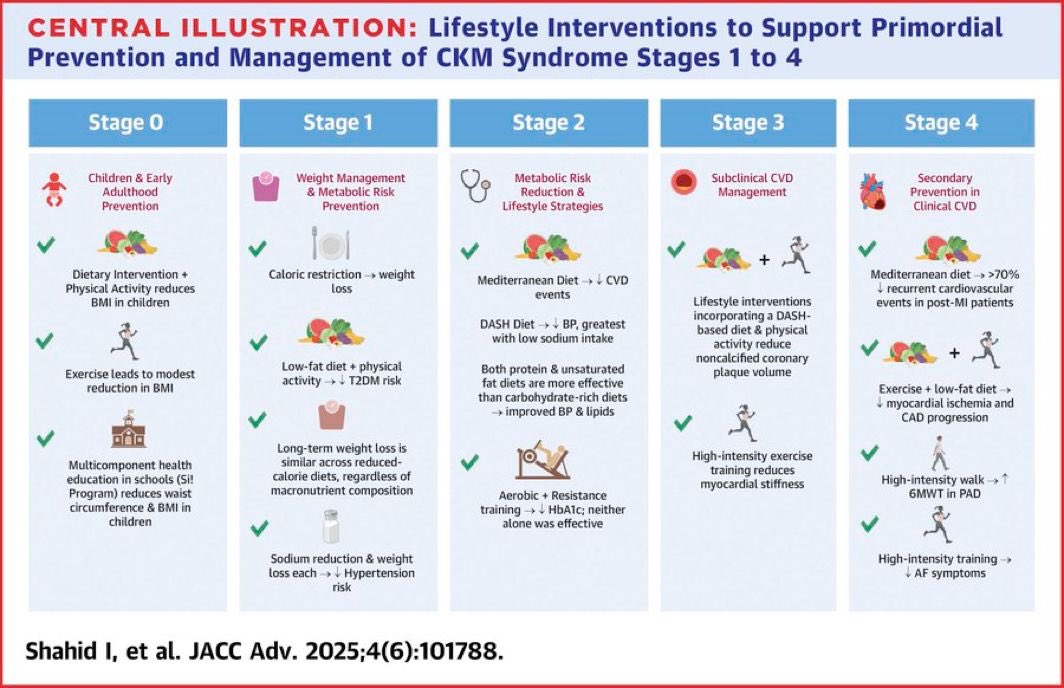 Lifestyle Interventions in Cardiovascular-Kidney-Metabolic Syndrome JACC 

Lifestyle interventions play key role not only in primordial and primary prevention in the earlier stages of CKM syndrome (stages 0-2) but also in subclinical CV  disease stage 3-4

jacc.org/doi/10.1016/j.…