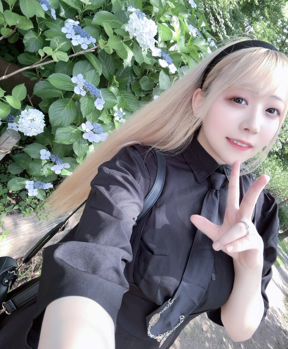 紫陽花まだ生き残ってる！