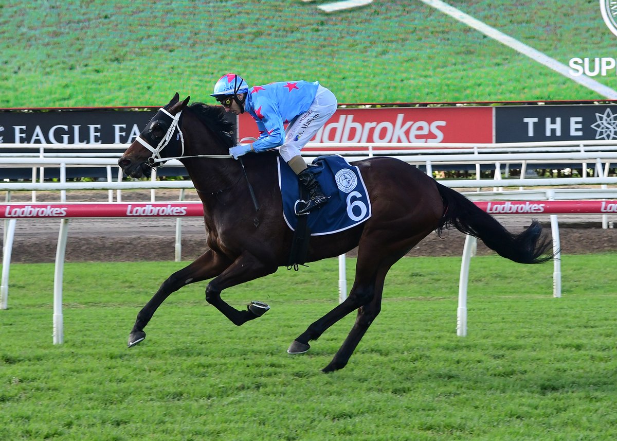 🤎 Great to see Wentwood-raised Manzoice back in black-type form, winning the Gr.3 Tattersall's Cup this afternoon.

Congratulations to breeder and longtime client Stephanie Hole 👏! 

Read the story here: 
wentwoodgrange.co.nz/blog/post/1478…