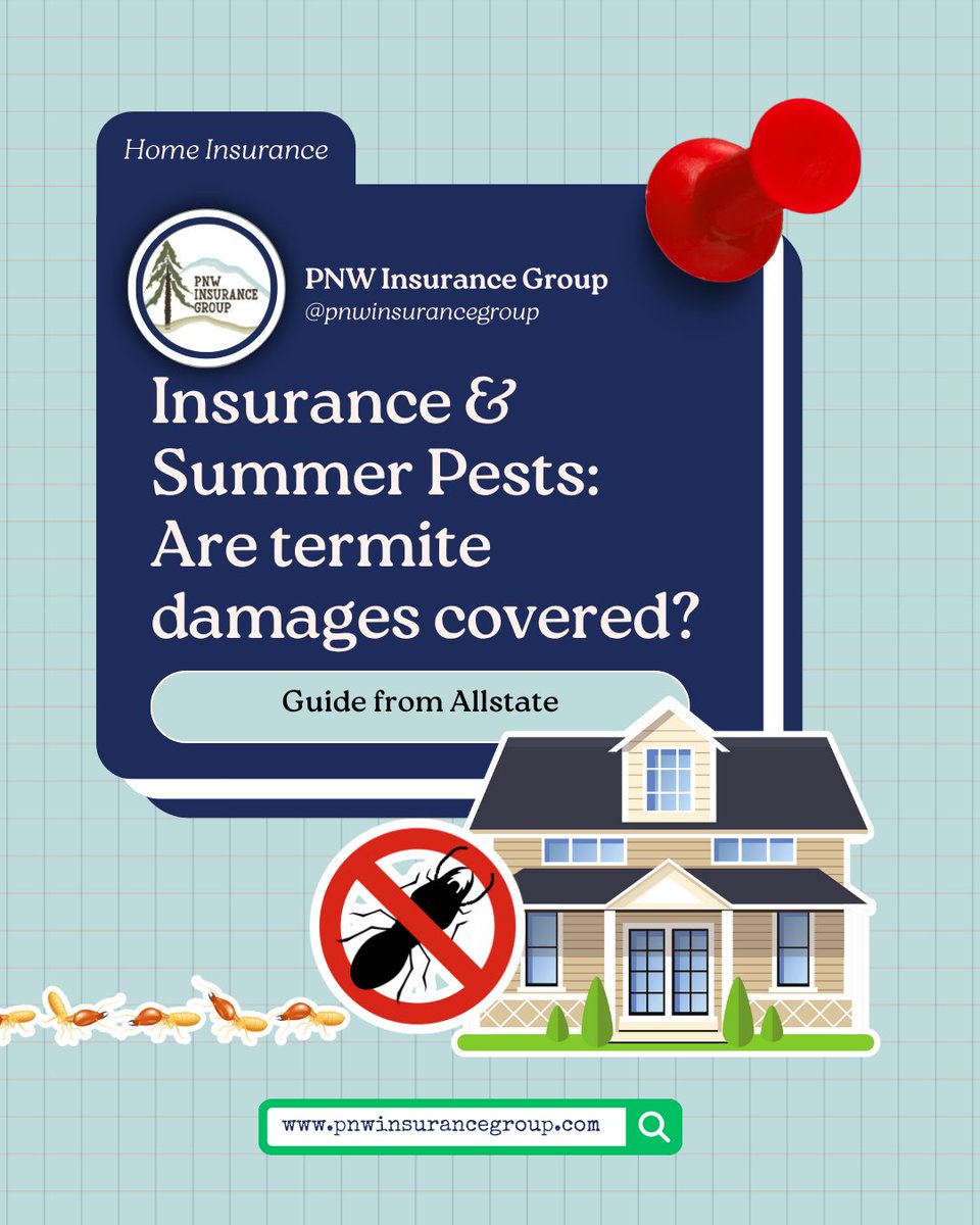 PNW_Insurance's tweet image. Termites cause billions in damage each year 🐜💸—and most home insurance policies don’t cover it. Know what’s included and how to protect your home: allstate.com/resources/home…

Credit: Allstate

#TermiteDamage #HomeInsuranceTips #PreventPests #ProtectYourHome