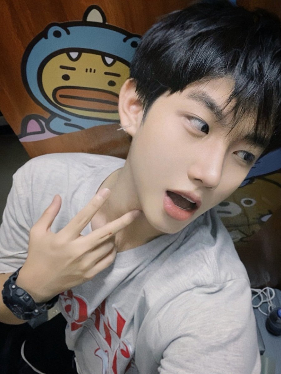 蛋本蛋豆奶 tweet media