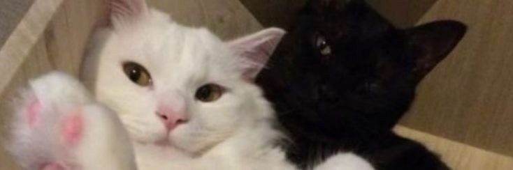 Hayoo masuk ga nih #zonauang️