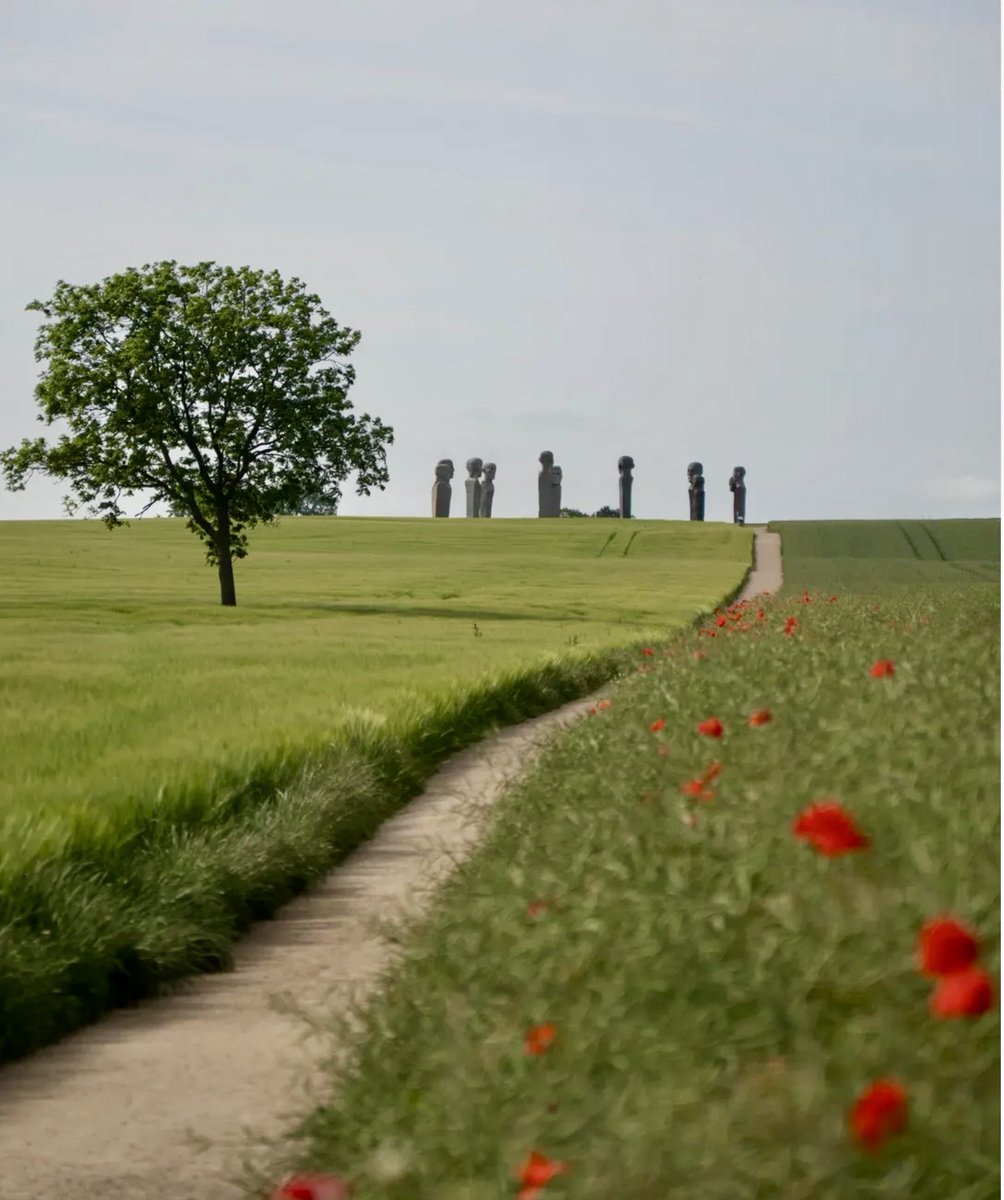 Dodekalitten. Danskt konstprojekt.
Tolv gigantiska granitpelare i cirkel på Lolland – likt Danmarks Stonehenge.
Tidlös monumentalitet möter elektronisk ljudkonst i en dialog mellan sten, rymd och människa.
#konst #art #Dodekalitten