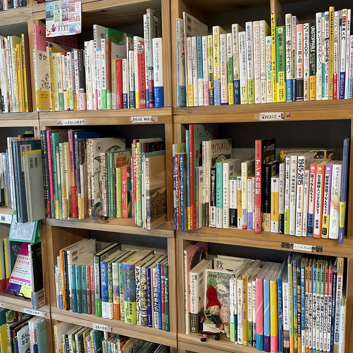 #現代書館 の本
入荷、再入荷📚

『障害のある10代のための困りごと解決ハンドブック
あなたがあなたらしく生きるためのヒント』
野口晃菜 松波めぐみ

『フルインクルーシブ教育見聞録
イタリアの現場を訪ねて』
大内紀彦

『ぼくの村は壁で囲まれた  パレスチナに生きる子どもたち』
高橋真樹