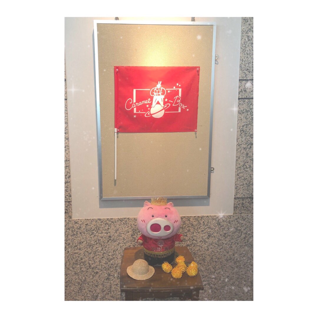 aritktu26's tweet image. 6/28 14時
演劇集団キャラメルボックス
サポーターズ・ミーティング2025
行ってきました.˚⊹ ⁺‧( *´꒳`*)‧⁺ ⊹˚.
限られてる時間の中で色んなお話を聞けて
嬉しかったし､たくさん笑って楽しかったぁ😊💓
#演劇集団キャラメルボックス