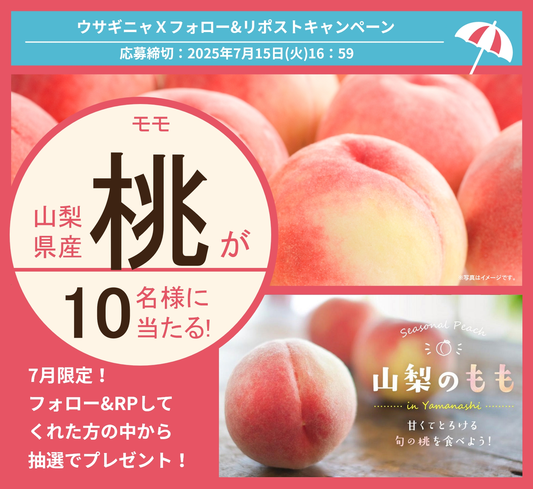櫻葉 購入意思ない♡お断り 🌸桜木心麗🌸@7/31引退 on X: 