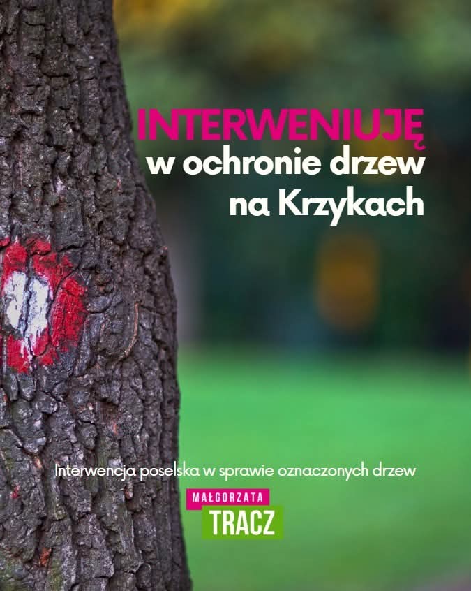 🤔 O co chodzi z oznaczeniami na drzewach? 🌳

👉 Zwrócili się do mnie zaniepokojeni mieszkańcy wrocławskich Krzyków, na których drzewa w korycie Olszówki Krzyckiej zostały oznaczone kropkami.

⚠️ Mieszkańcy i mieszkanki obawiają się, że jest to dalszy ciąg tak zwanych prac