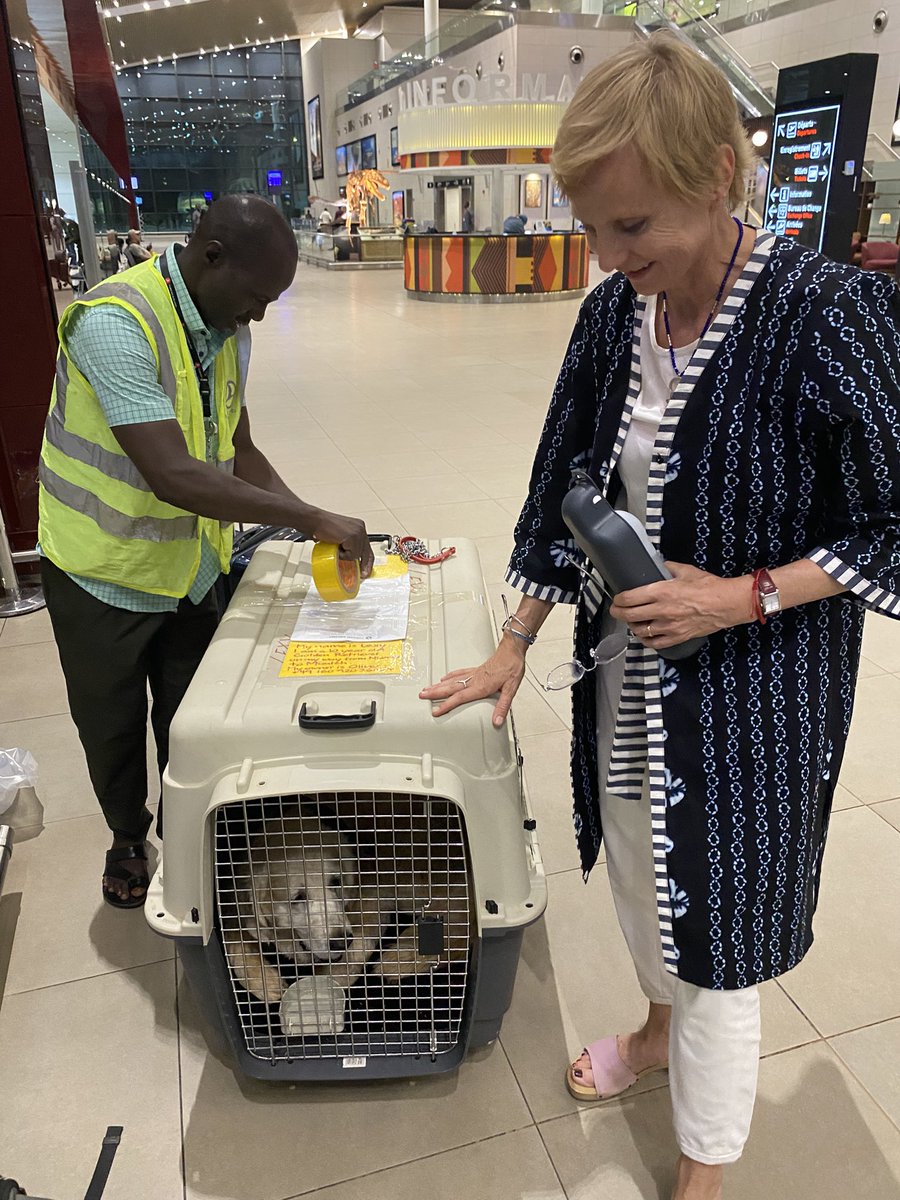 Oliver Schnakenberg (@oliverschna) on Twitter photo We so much appreciated how <a href="/TurkishAirlines/">Turkish Airlines</a> provided such good care of us and especially of our Lexy - a senior Golden Retriever travelling from #Niamey to Munich. The ground staff there was extremely helpful, efficient and supportive. Thanks especially to Sr. Mgr. Omar Garba for We so much appreciated how <a href="/TurkishAirlines/">Turkish Airlines</a> provided such good care of us and especially of our Lexy - a senior Golden Retriever travelling from #Niamey to Munich. The ground staff there was extremely helpful, efficient and supportive. Thanks especially to Sr. Mgr. Omar Garba for