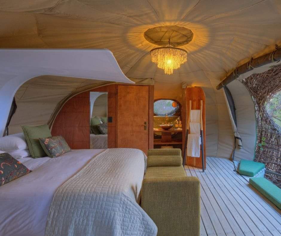Zambianmagic's tweet photo. For the lovebirds, Tongabezi greensafaris dreamy Treehouse has found its GreenSafaris match on the Busanga Plains in 🇿🇲

You sleep in human-sized Nest suites that were designed to mimic the architectural ingenuity and beauty of the weaver bird nests.

Zambia - The Real Africa 🇿🇲 https://t.co/phtb6F3uWO