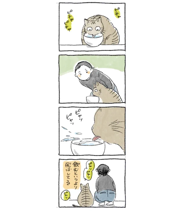 🐈 