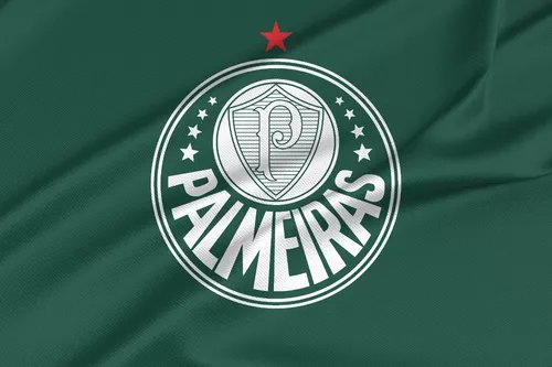 qualtimeidol's tweet photo. Jiwoo (NMIXX) torce para o Palmeiras! https://t.co/RRNnrXgIsZ