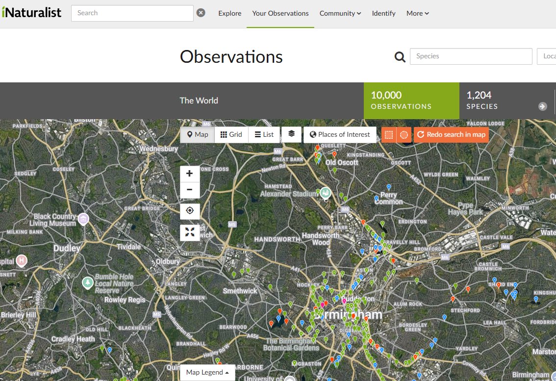 Chris Millward Jnr (@chris4patches) on Twitter photo It was fantastic to submit my 10,000th wildlife record on <a href="/inaturalist/">iNaturalist</a> this week
Almost half the species found were within 3 miles of Birmingham Cathedral
My 10,000th record came at the site where George Dawson developed the Civic Gospel that transformed Brum! #CityofNature ๐ It was fantastic to submit my 10,000th wildlife record on <a href="/inaturalist/">iNaturalist</a> this week
Almost half the species found were within 3 miles of Birmingham Cathedral
My 10,000th record came at the site where George Dawson developed the Civic Gospel that transformed Brum! #CityofNature ๐