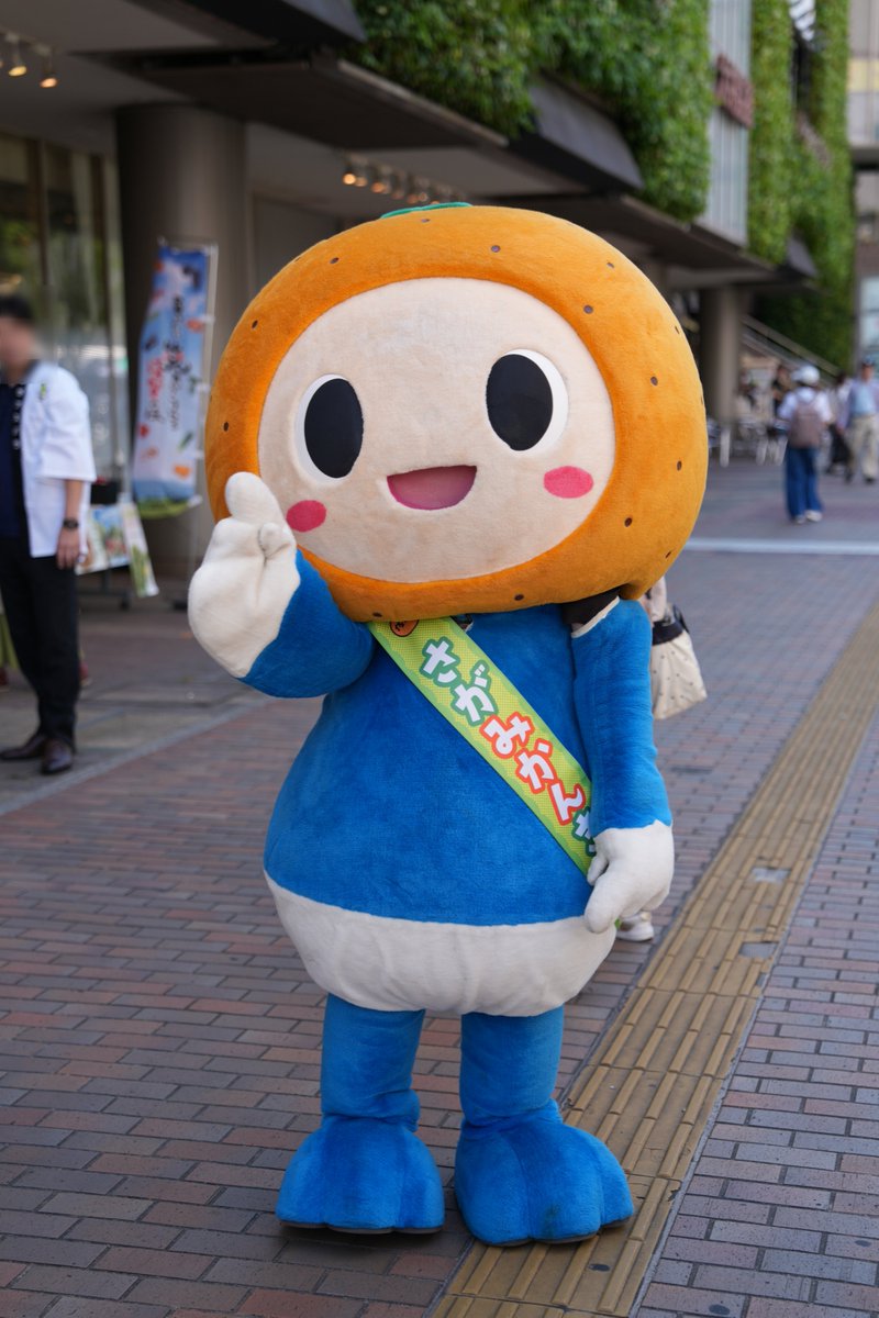 みかんきゃらめる みかんキャラメル｜伊豆オレンヂセンター