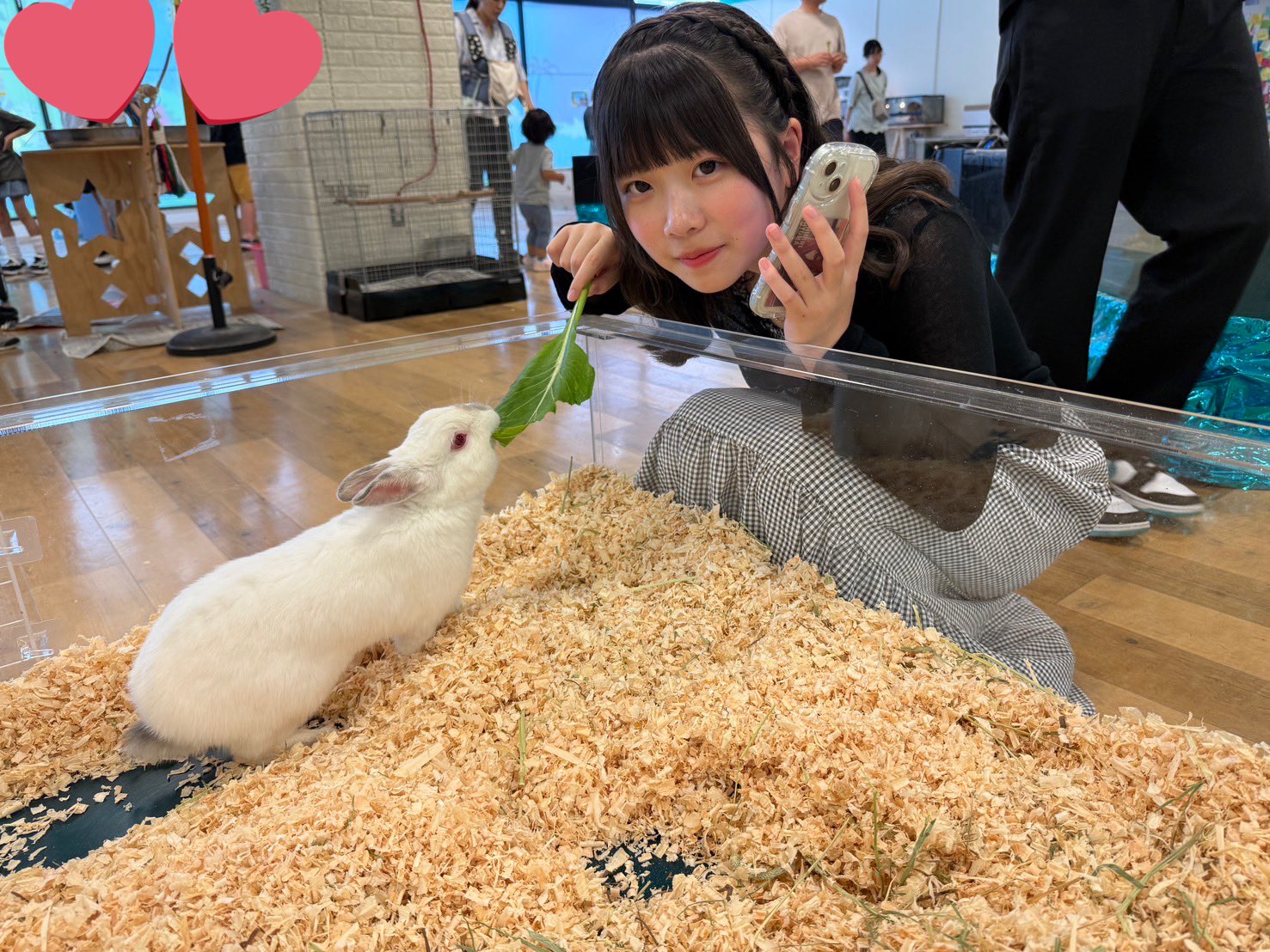 今泉 もか🍙🌷 on X: 