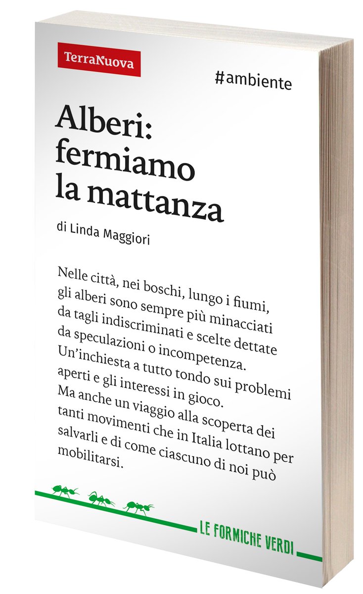 Terra Nuova (@terranuovaed) on Twitter photo "Alberi: fermiamo la mattanza": un libro-inchiesta imperdibile! Lo trovi qui 👉
terranuovalibri.it/libro/dettagli… <a href="/lindamaggiori/">linda</a> <a href="/salvapaesaggio/">SalviamoilPaesaggio</a> <a href="/SalviamoForesta/">Salviamo la Foresta</a> #alberi "Alberi: fermiamo la mattanza": un libro-inchiesta imperdibile! Lo trovi qui 👉
terranuovalibri.it/libro/dettagli… <a href="/lindamaggiori/">linda</a> <a href="/salvapaesaggio/">SalviamoilPaesaggio</a> <a href="/SalviamoForesta/">Salviamo la Foresta</a> #alberi
