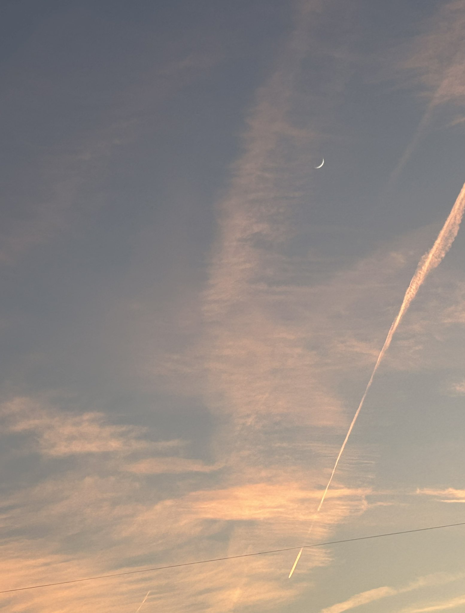 飛行機雲(ひこうきぐも)への思いさまざま｜forestchild