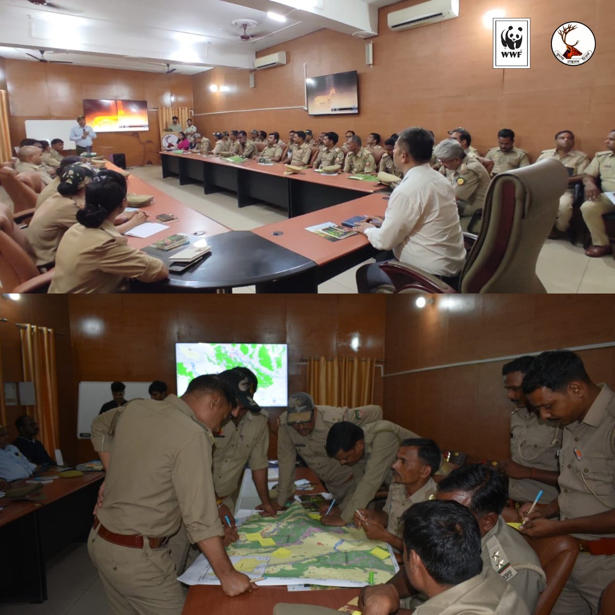 DudhwaTR's tweet image. A successful workshop on Small Cat Conservation was held today at Dudhwa Tiger Reserve, organized by @WWFINDIA & Global Tiger Forum 150+ forest staff trained to ID & monitor Small Cats.
#SmallCats #Dudhwa
@moefcc
@ntca_india
@UpforestUp
@Unitedfortigers @raju2179 @IUCNsos
