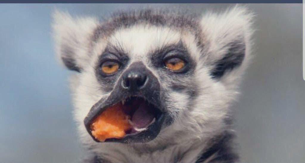 Android Users : I watch free movies without subscription oo

IOS users ;