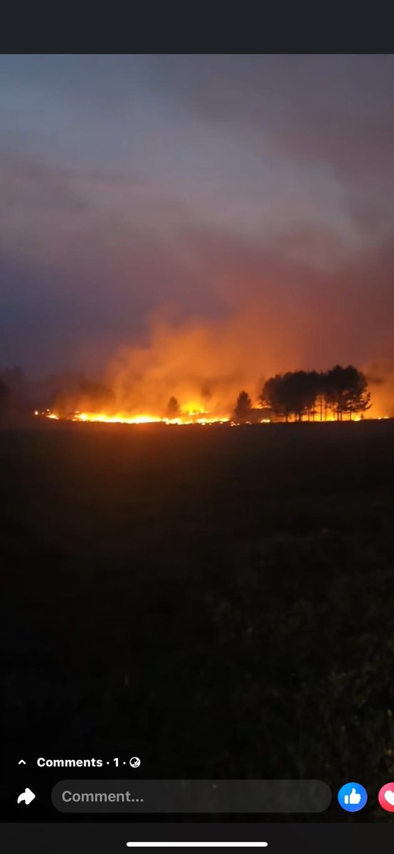 TegshbayarN's tweet image. Нөгөө лайв хийгээд газрын тос, ГХЭ, уран эсэргүүцээд эх оронч дүрээр сүгсэлзээд байдаг шантаажууд хаа байна. Тужийн нарсан ой шатаад дууслаа.  Тийшээ очиж гал унтраа. Та нарт тужийн нарс мөнгө өгөхгүй тул очихгүй л дээ.

***************
Сэлэнгэ цахим ТВ пэйжээс

Алтанбулаг сумын