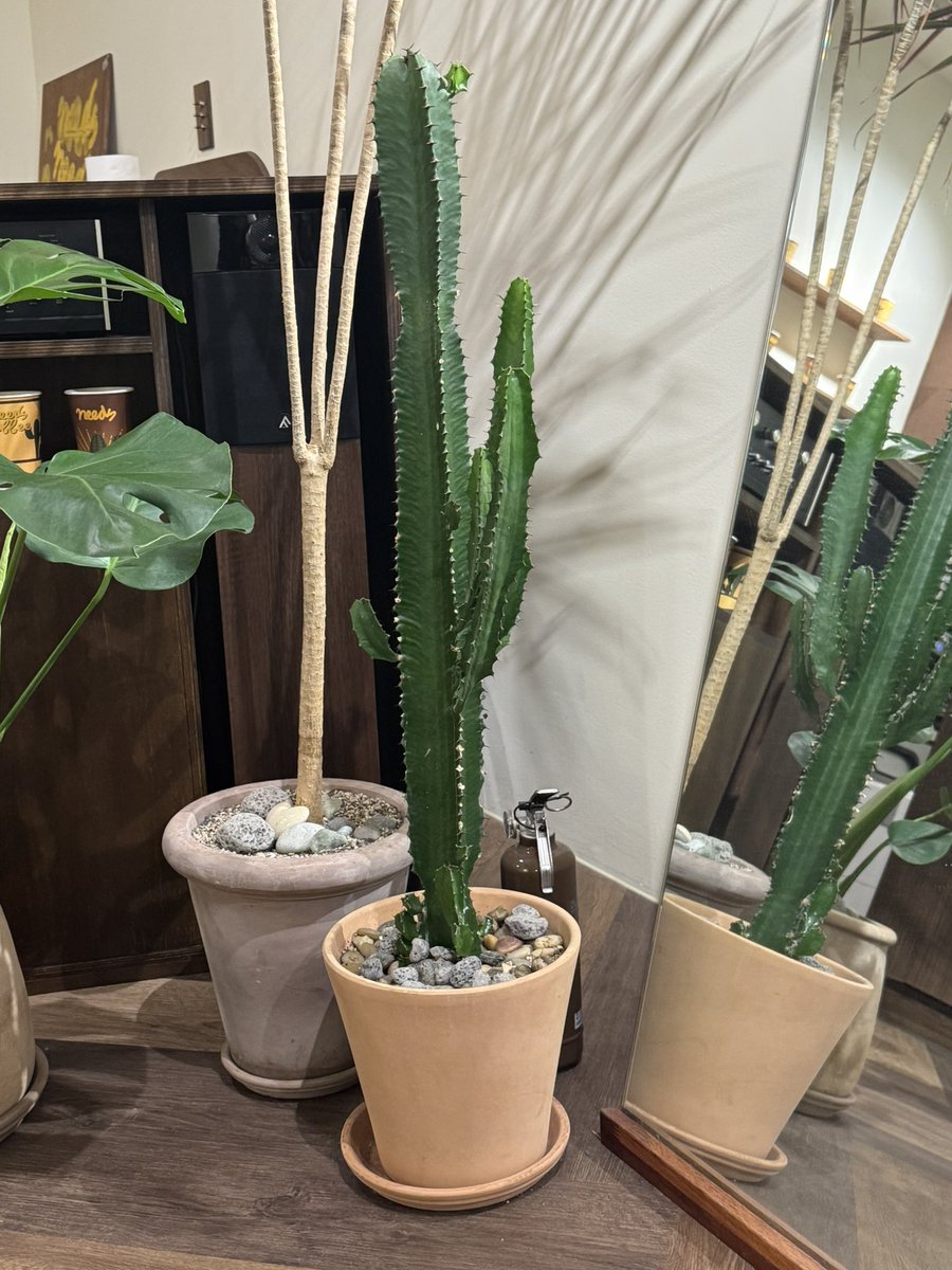 저는 요즘 독서계를 만둘어서 거기 자주 잇어오 누추한 곳이나 혹시 독서계이시거나 오실 분 있으면 디엠 주시면 대환영입니다!!! 뭐 사실 엄청난 걸 하려고 만든건 아니고 그냥 읽는 책 조아하는 책 이야기를 편하게하구싶어서 만들었어요(구구절절