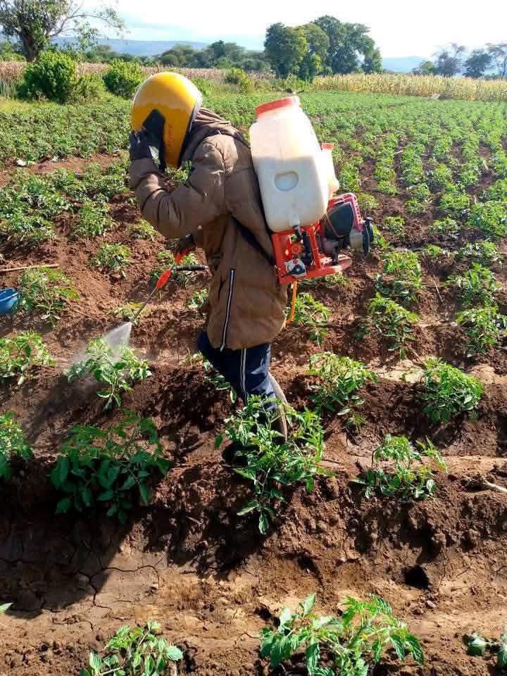 Farm With Fred tweet media