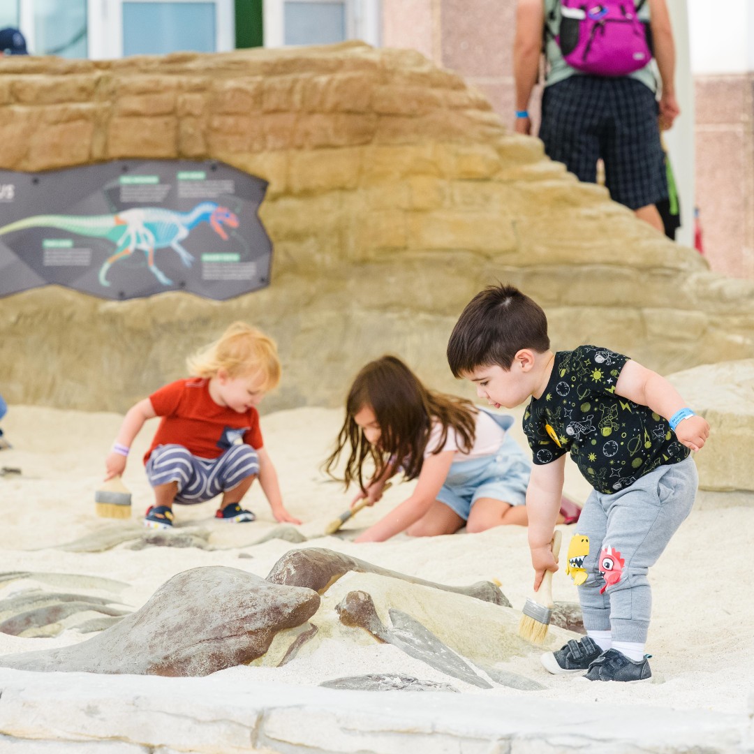 ☀️ Summer is in full swing, and we've got you covered, rain or shine, here at LSC!

Digging up fossils under the cool shade of our ankylosaurus-inspired canopy or escaping the rain with an epic movie in our planetarium or 3D theater, adventure awaits, whatever the weather! 🌞🌧️✨