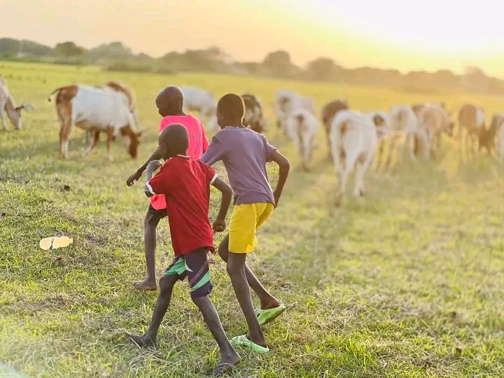 The Nuer people 🇸🇸🇪🇹 tweet media