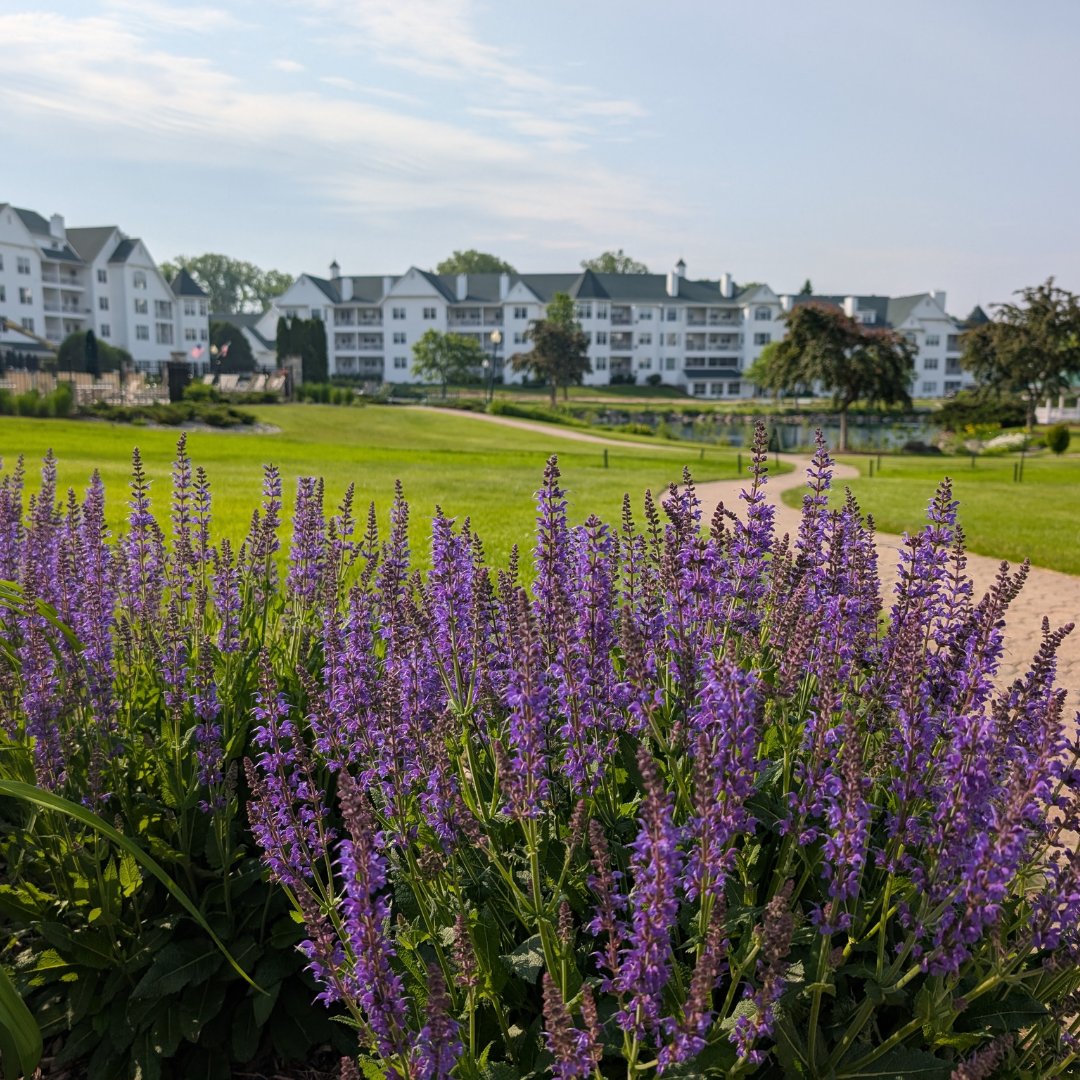 The Osthoff Resort tweet media