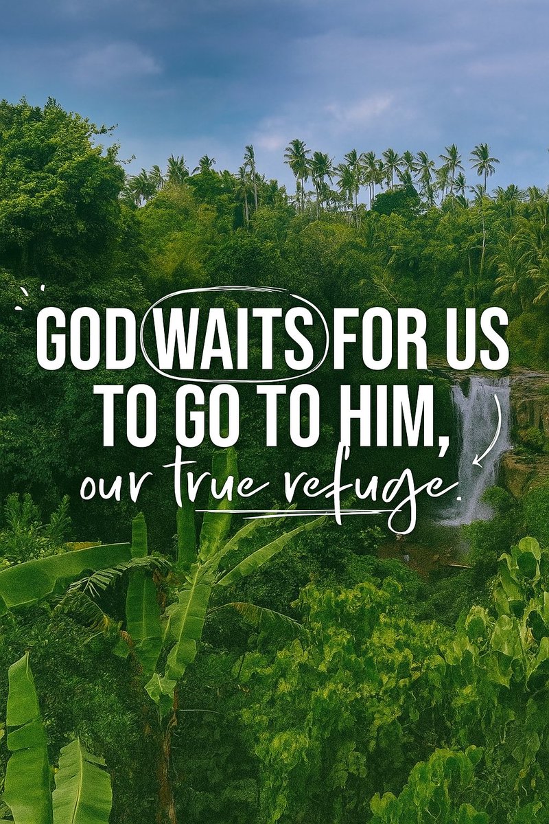 The Bible (@the__bible7) on Twitter photo 