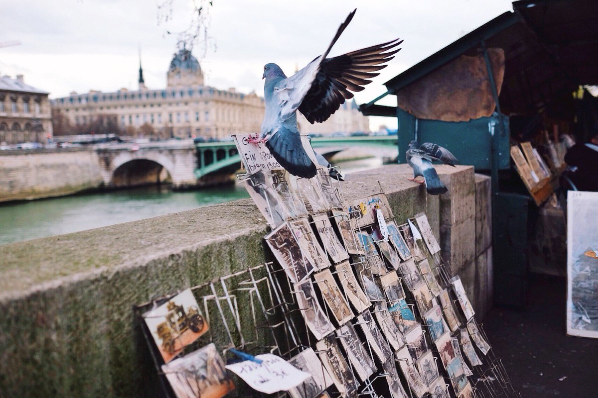 Can't believe I took these photos 💫