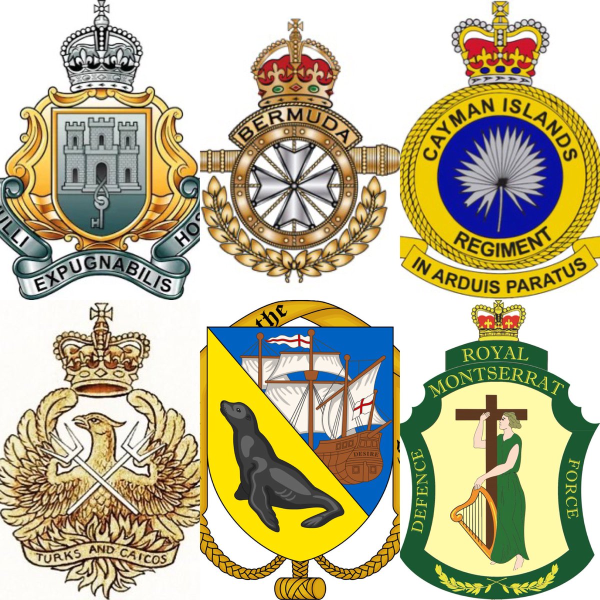 adampileUK's tweet image. 🫡Happy #ArmedForcesDay ! Thank you to the awesome #regiments &amp;amp; #defence forces across the 🇬🇧 Overseas Territories:
🇧🇲 @BermudaRegiment 
🇰🇾 #CaymanIslands Regiment
🇫🇰 #FalklandIslands Defence Force 
🇬🇮 @RoyalGIBRegt 
🇲🇸 Royal #Montserrat Defence Force
🇹🇨 @TCIRegiment