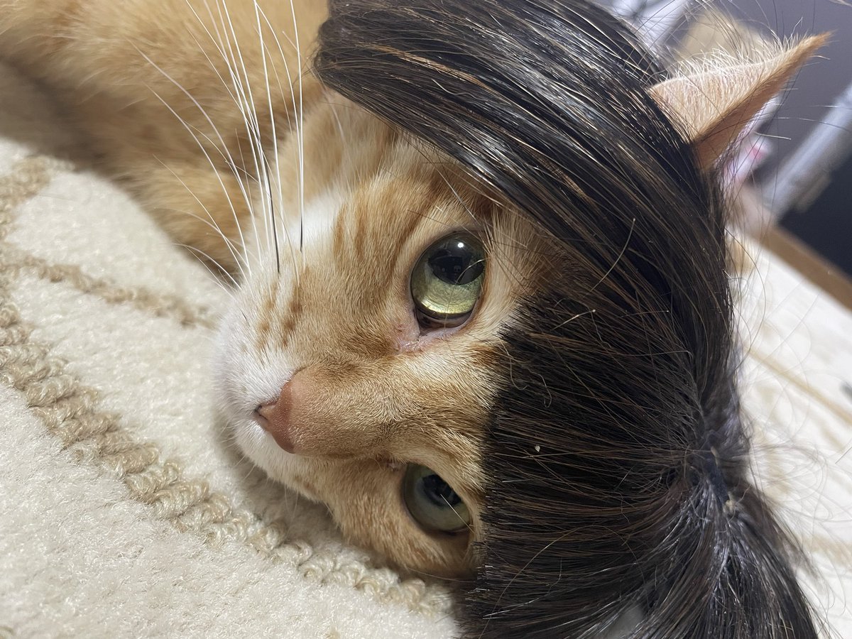 きなこ (@kinako_tk_0705) / Posts / X