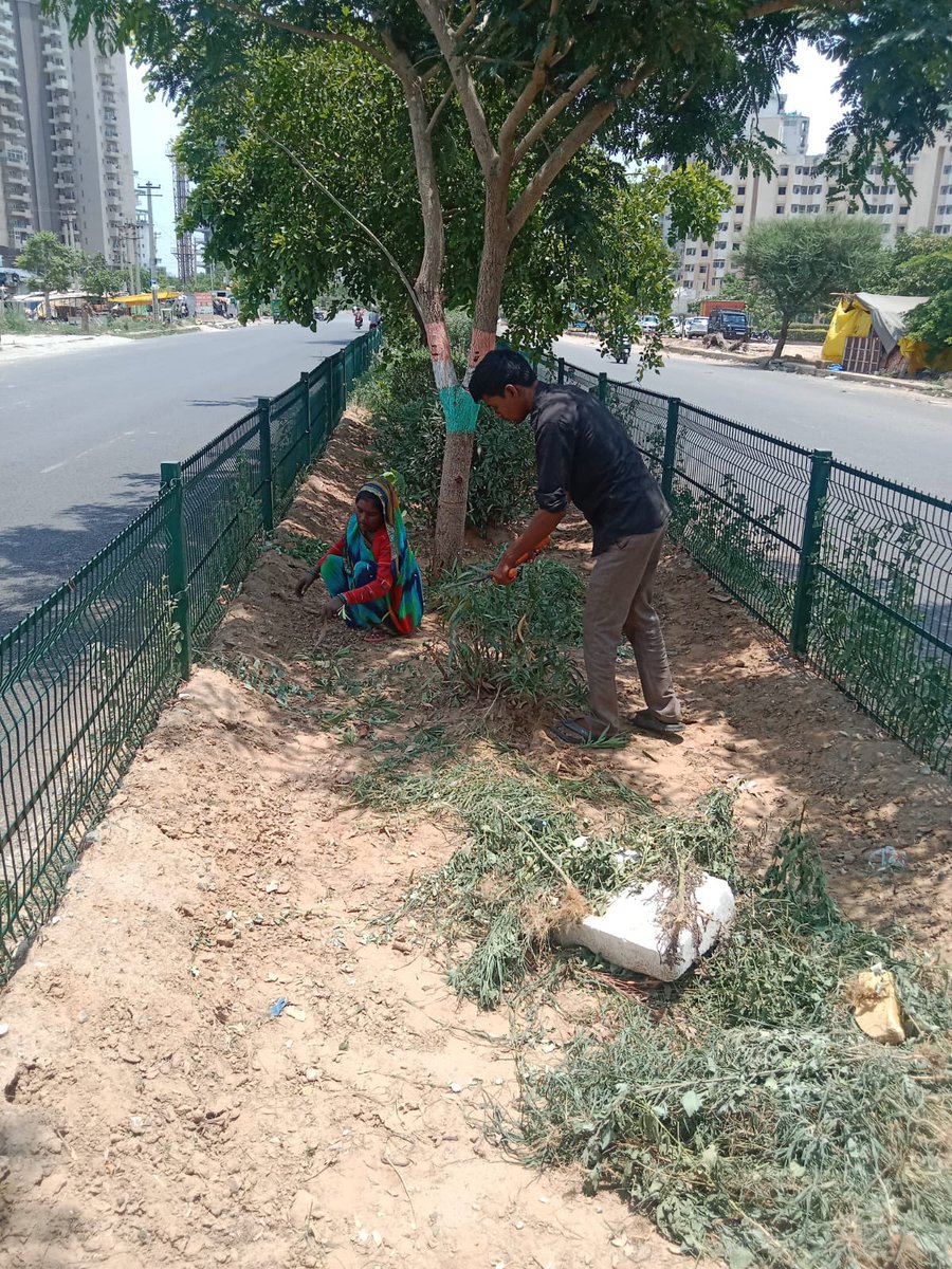 🌳 Exciting news from #Gurugram! RWAs are teaming up with the <a href="/MunCorpGurugram/">MCG</a> to rejuvenate and protect our #green spaces. By cutting #red tape and encouraging community-led upkeep, #Gurugram is shaping up to be a cleaner, #greener city. Kudos to residents &amp; civic bodies working