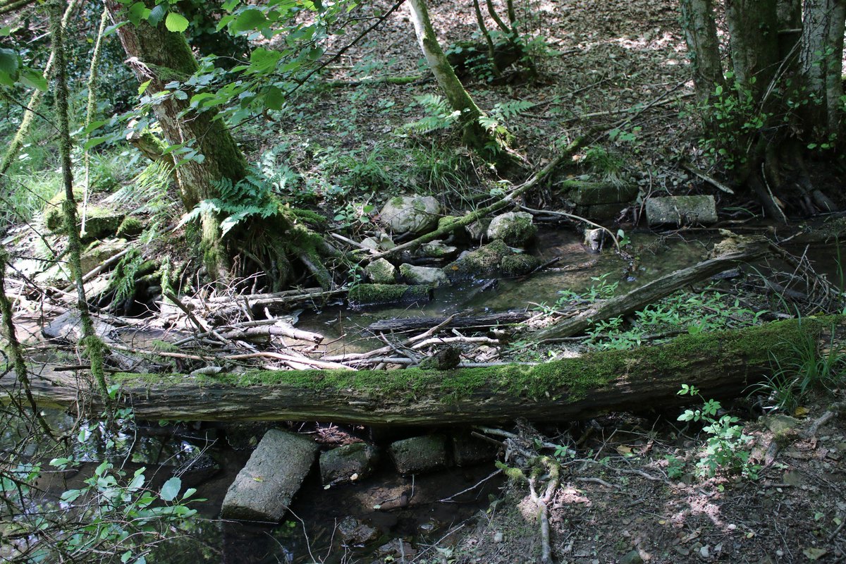 Argonne forest - Mortier Brook - La Mitte Lager.
This is what is left of the narrow gauche bridge over the Mortier Brook  near La Mitte Lager .....