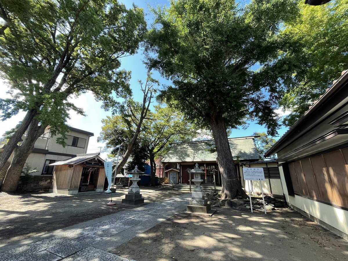 chiba_jinja tweet picture