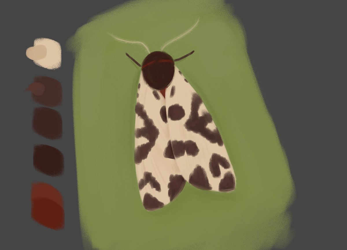 probletunities tweet media