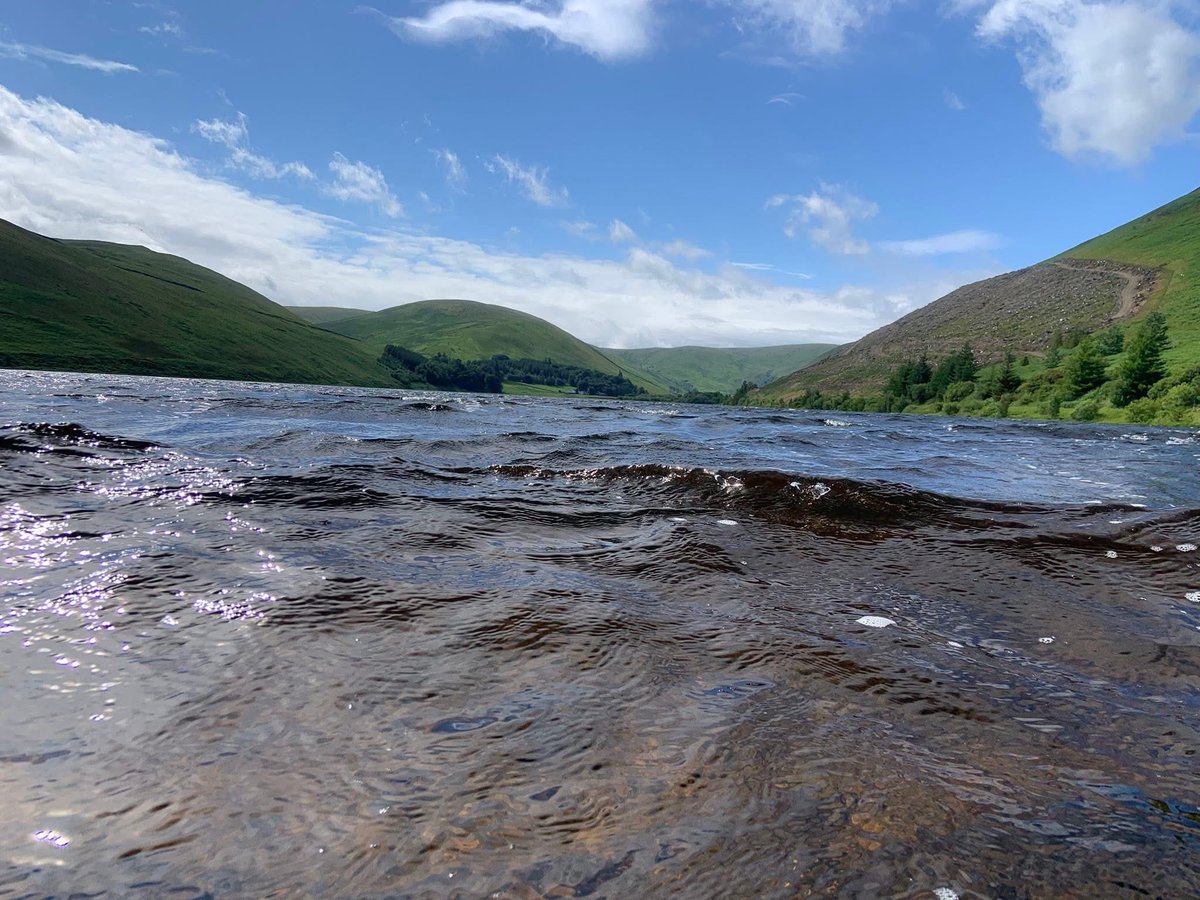 Denis Robson tweet media