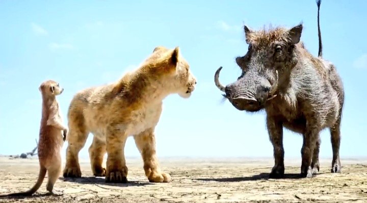 JUST TRUST THE PROCESS SEASON 3 WILL BE FOR SIMBA