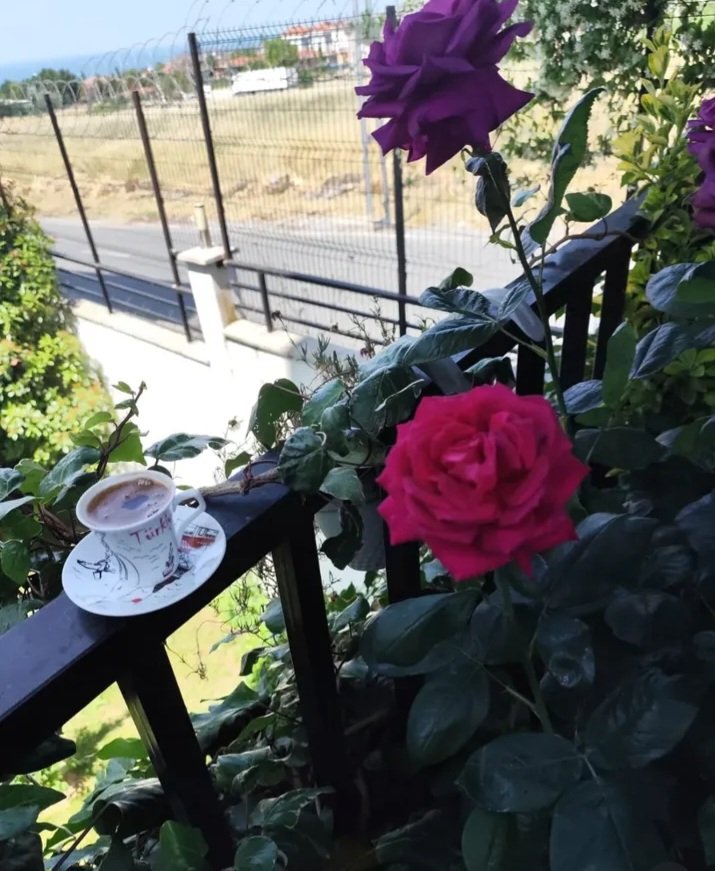 ..ne güzel
bir söz, bir duygudur.

hayatında
sevdiğin, değer verdiğin

gönlünde
taşıdığın insanlara

"İyi ki varsın" diyebilmek..

mutlu hafta sonları
🕊️🩶☕☘️