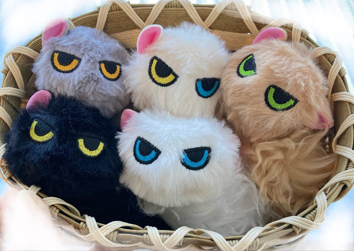 なつかない猫のガチャ見つけて9回くらいやったんだけど、全種コンプできて良かった！黒が中々出て来てくれなくて焦った💦