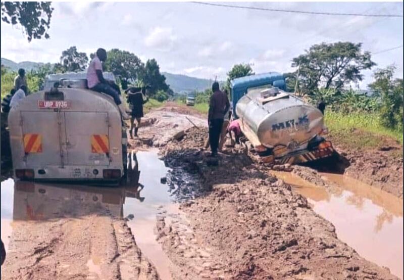 Me, I just sell my milk in Kingeero, mind my business. Politics? Siwezi.

But hii ya #FreeNdianguiKinyagia lazima isemwe. #SiriNiNumbers 🥛😎