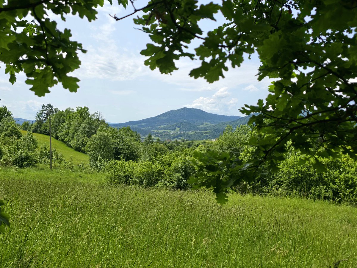 emctweep's tweet image. My village has got the views.