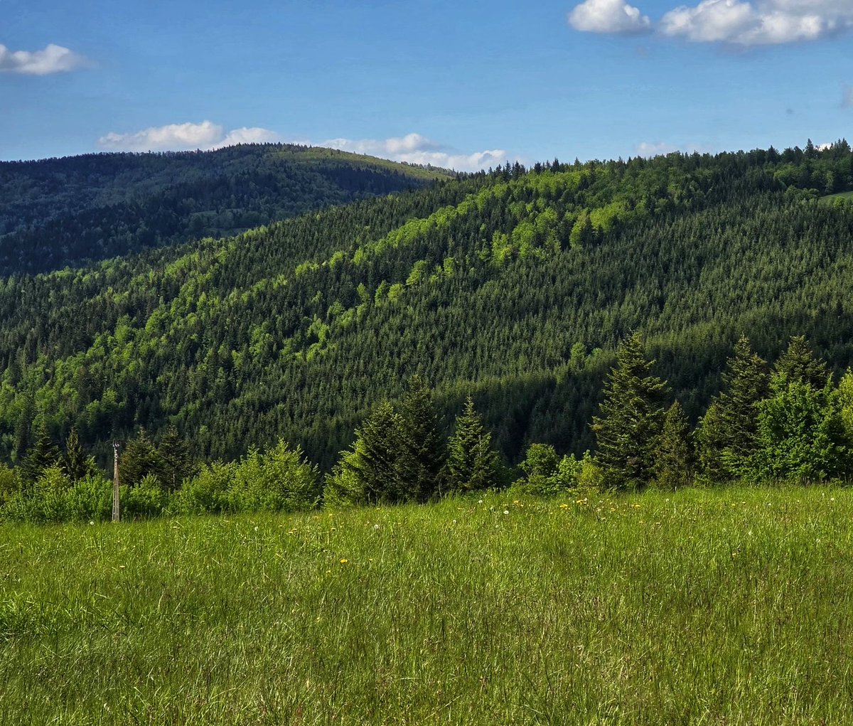 emctweep's tweet image. My village has got the views.