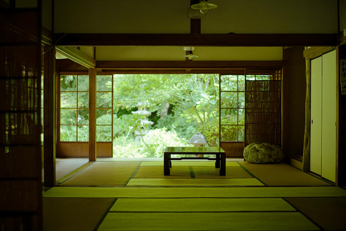 meow_photo's tweet image. 夏、鎌倉