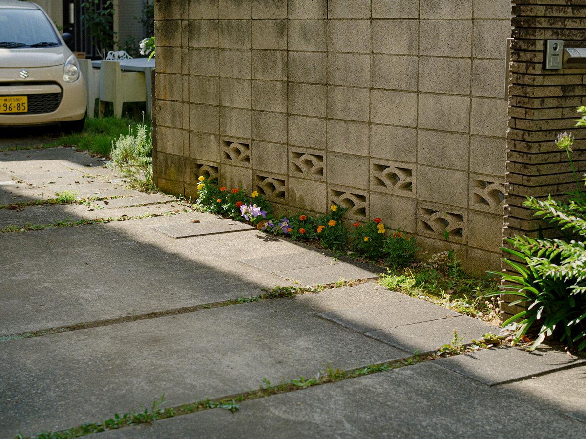 meow_photo's tweet image. 夏、鎌倉