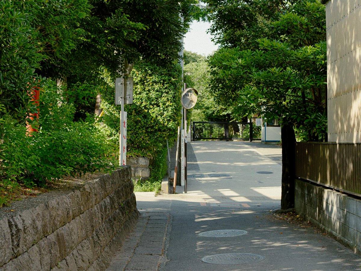 meow_photo's tweet image. 夏、鎌倉