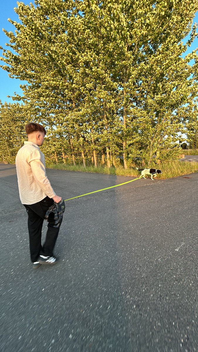 Nele🦋 tweet media