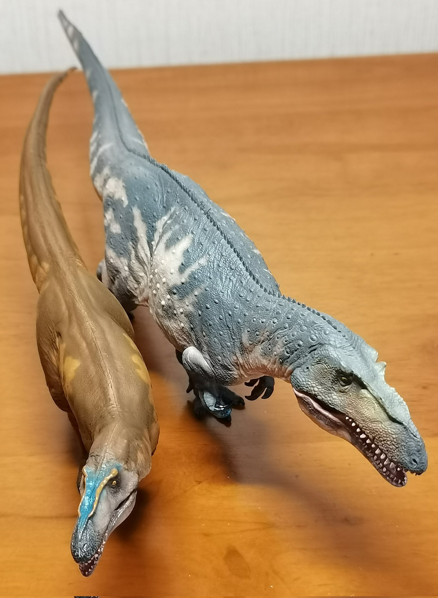 獣医繁殖学 獣医繁殖学 第5版: 獣医学教育モデル・コア・カリキュラム準拠