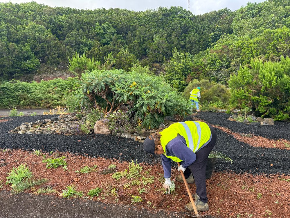 Barlovento refuerza su plantilla municipal con 24 nuevas incorporaciones a través de los planes de empleo del Gobierno de Canarias #lapalma #canarias #noticias #eltime #empleo eltime.es/isla-bonita/17…