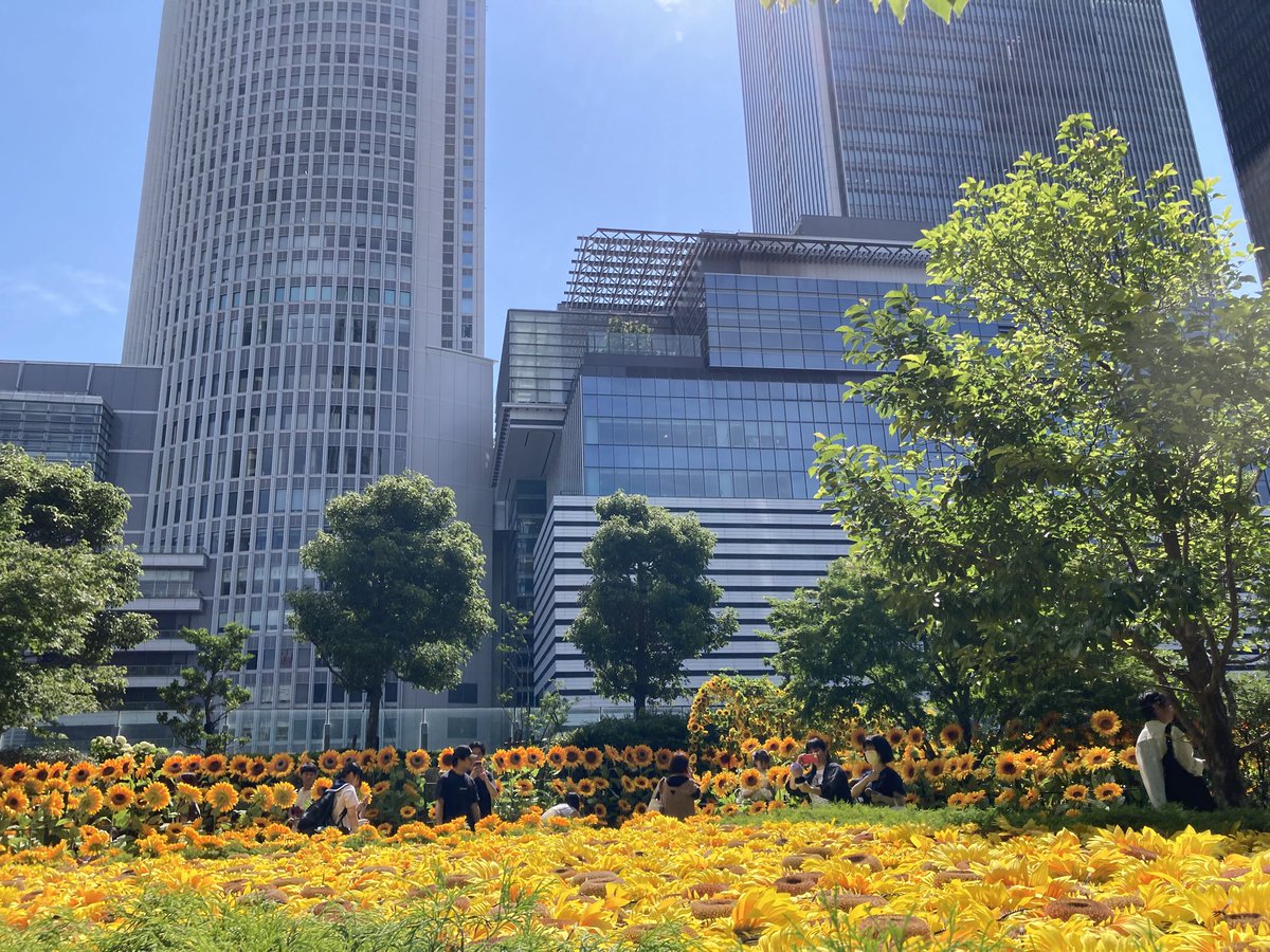 ugachanblog's tweet image. みなさん こんにちは
週末久々の晴天で暑くなりましたね
水分補給しながら素敵な休日を
お過ごしください🍀✨
習慣になりつつあるジム ウォーキング
そして簿記勉を済ませ
昨日から百貨店でセールが始まり
名駅 栄へぶらり😊
大名古屋ビルディングで
ひまわりスカイガーデン🌻
今年も綺麗でした😃